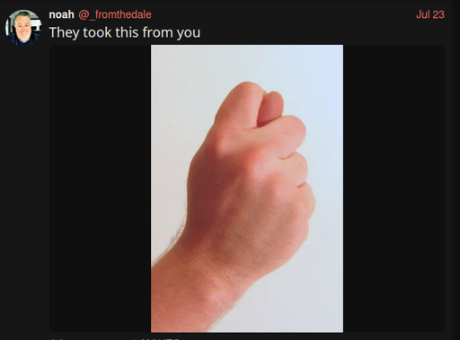 An image of thumb between index and middle finger, the sort you make when playing "I've gotten your nose" with a child. The caption reads "They took this from you", playing on how reactionaries cry for imagined pasts.