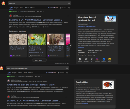 Two screenshots of a DuckDuckGo search joined together. The first one searches for "ladybug", and the search engine returns a summary for the "Miraculous: Tales of Ladybug & Cat Noir" movie series. The second one searches for "ladybug THE FUCKING INSECT", and the search engine returns a summary for the Coccinellidae beetle family.