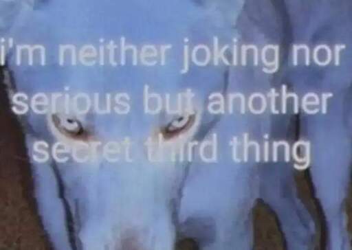 i'm neither joking nor serious but another secret third thing