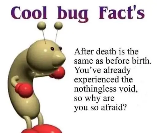 Low poly bug doing a lil dance.
On the right of them there is a paragraph that states “After death is the same as before birth. You’ve already experienced the nothingless void, so why are you so afraid?”

It is captioned “Cool bug Fact’s” in a purple font. White background