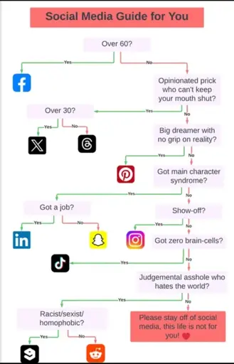 Funny flowchart of social media apps