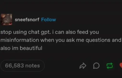 Tumblr screenshot, post says "stop using chat gpt. I can also feed you misinformation when you ask me questions and also I'm beautiful"