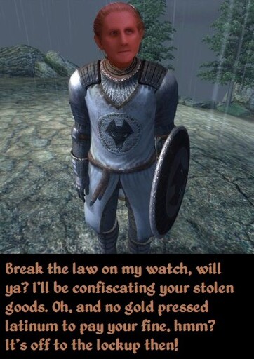 Stop right there, criminal scum!